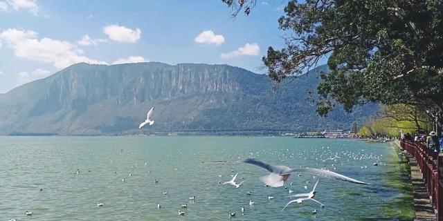 云南旅行必去景点大全(云南优质景点合集)(1)