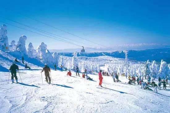 石家庄一日游攻略最佳路线（让你玩转石家庄冬天各个景色）(7)