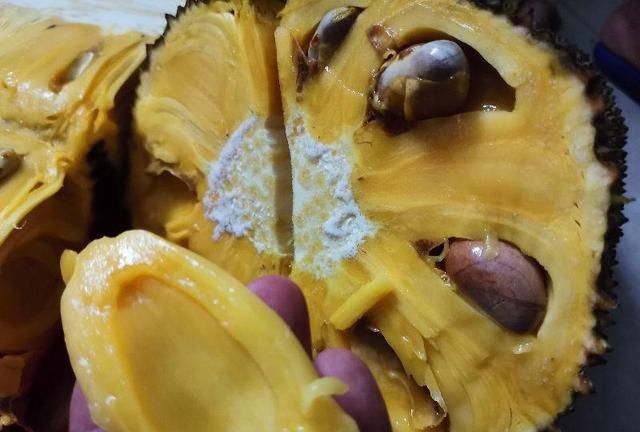 菠萝蜜怎么选出肉多的