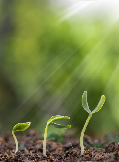 四十不惑五十知天命六十耳顺七十古来稀原文,30而立40不惑50知天命60、70、80、90、00怎么说的图4