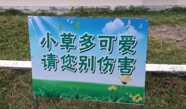 关于爱护草坪的宣传标语,爱护小草的宣传语有哪些?图1