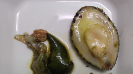 生鲍鱼蒸多长时间,清蒸鲍鱼要多长时间才能好?图9