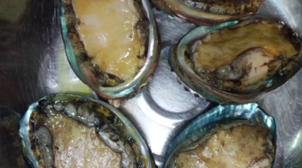 生鲍鱼蒸多长时间,清蒸鲍鱼要多长时间才能好?图6