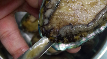 生鲍鱼蒸多长时间,清蒸鲍鱼要多长时间才能好?图7