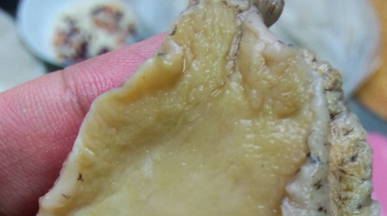 生鲍鱼蒸多长时间,清蒸鲍鱼要多长时间才能好?图11