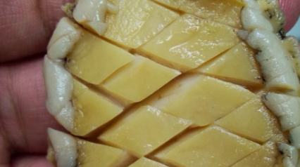 生鲍鱼蒸多长时间,清蒸鲍鱼要多长时间才能好?图12