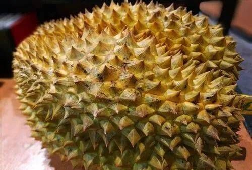 夜宵吃榴莲对身体好不好