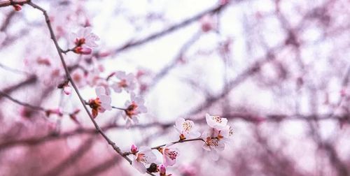 20234是什么意思