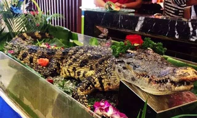 鳄鱼可以吃,火车一刀下去