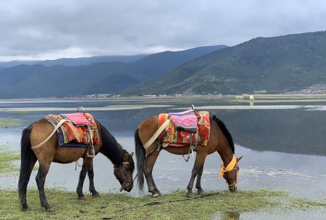 独克宗古城又称为什么,香格里拉怎么去独克宗古城?图3