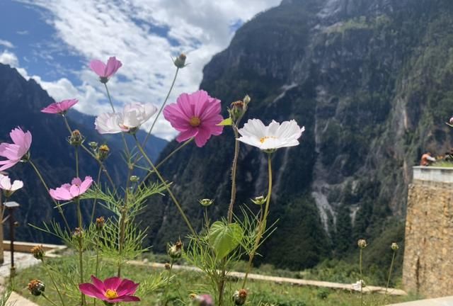 独克宗古城又称为什么,香格里拉怎么去独克宗古城?图11