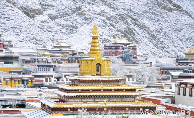 甘肃积雪大雪(甘肃5月突降大雪)(14)