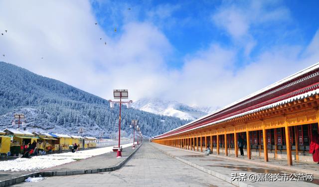 甘肃积雪大雪(甘肃5月突降大雪)(24)