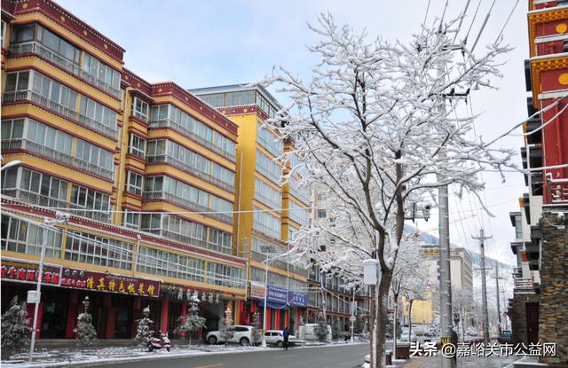 甘肃积雪大雪(甘肃5月突降大雪)(38)