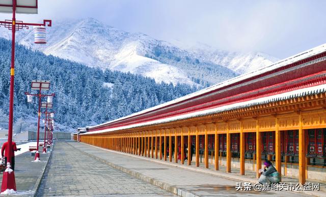 甘肃积雪大雪(甘肃5月突降大雪)(23)