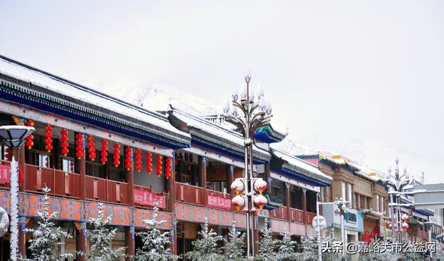 甘肃积雪大雪(甘肃5月突降大雪)(29)