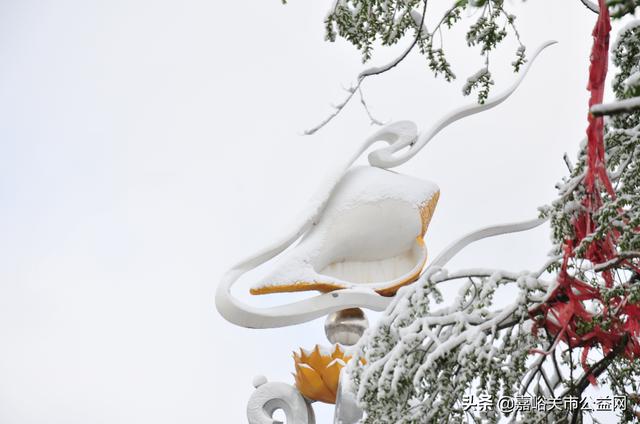 甘肃积雪大雪(甘肃5月突降大雪)(41)