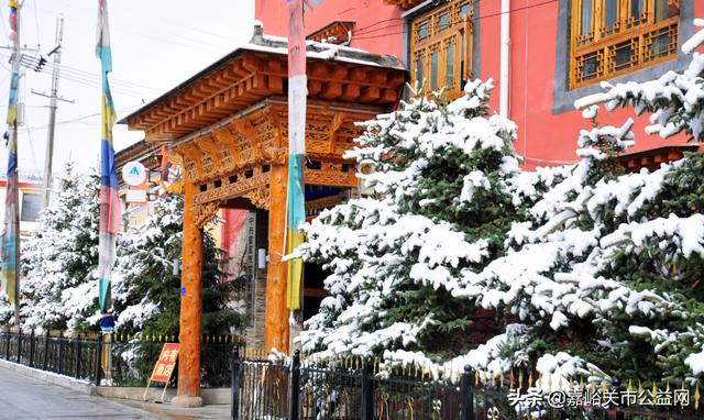 甘肃积雪大雪(甘肃5月突降大雪)(28)