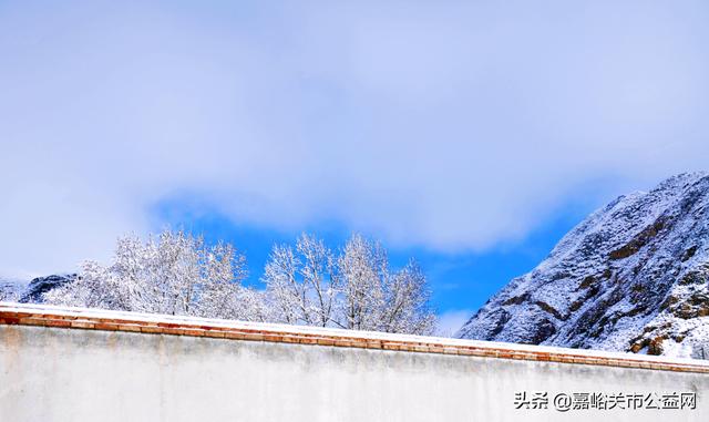 甘肃积雪大雪(甘肃5月突降大雪)(25)