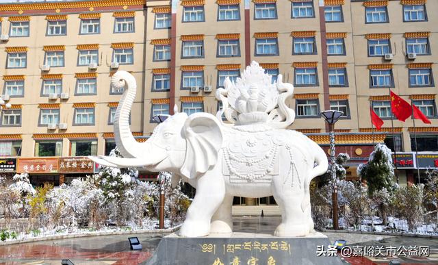 甘肃积雪大雪(甘肃5月突降大雪)(46)