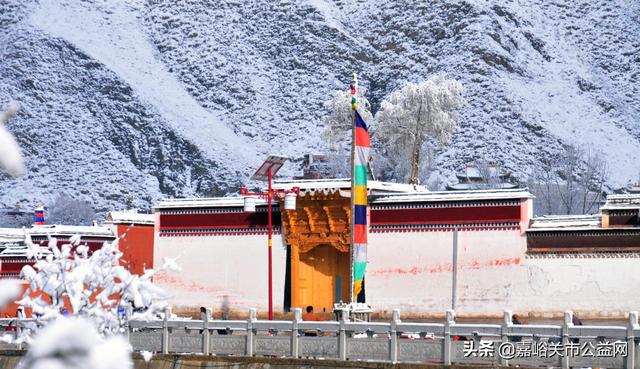 甘肃积雪大雪(甘肃5月突降大雪)(13)