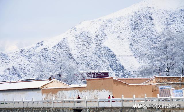 甘肃积雪大雪(甘肃5月突降大雪)(9)