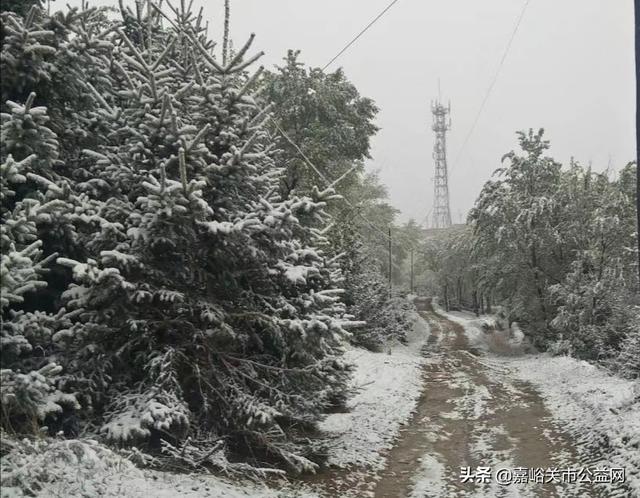 甘肃积雪大雪(甘肃5月突降大雪)(49)
