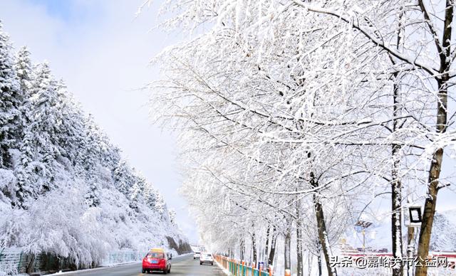 甘肃积雪大雪(甘肃5月突降大雪)(11)
