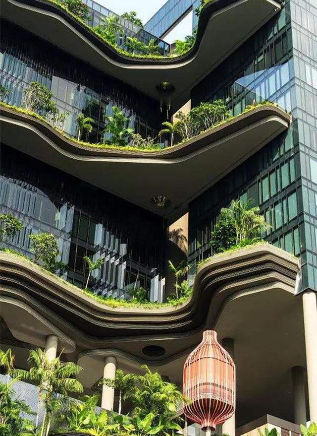 新加坡是怎么发展的（新加坡现状带你看看一个真实的新加坡）(7)