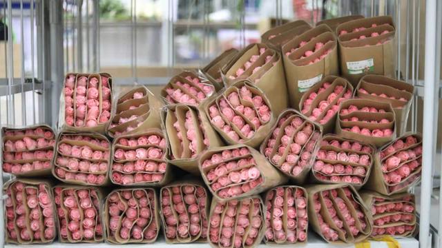 昆明每日鲜花批发价格（鲜花价格行情全线上涨）(6)