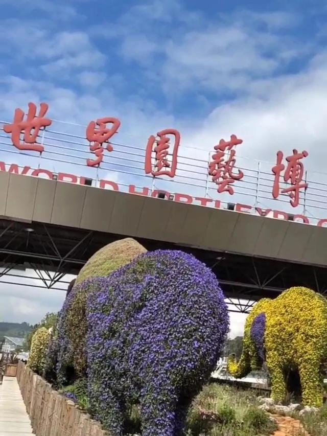 昆明世博园开放时间及门票（昆明世博园免费开放啦）(1)