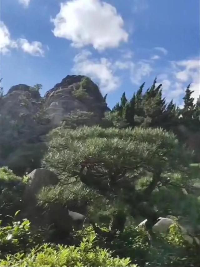 昆明世博园开放时间及门票（昆明世博园免费开放啦）(7)