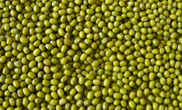 生绿豆泡水是否有毒,生绿豆泡水喝有毒吗图2