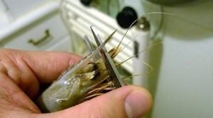 大红虾的家常做法,大红虾的做法大全家常图2