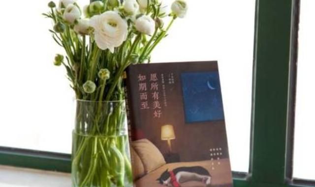 如期而至是什么意思,成长不期而遇如期而至是什么意思?图3