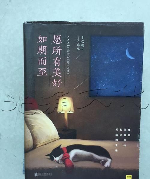 愿所有的美好都能如期而至是什么意思