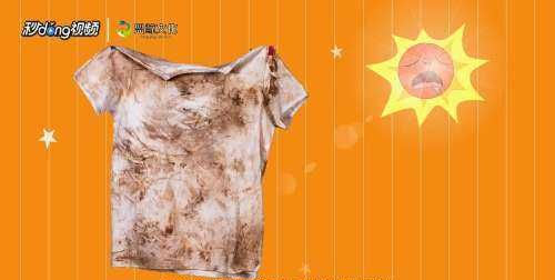 衣服发霉怎么洗掉霉斑黑点,衣服发霉用什么洗掉霉斑图2