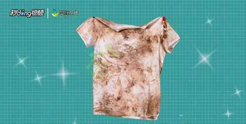 衣服发霉怎么洗掉霉斑黑点,衣服发霉用什么洗掉霉斑图1