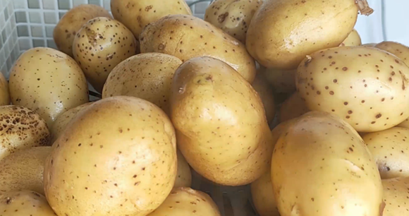 干土豆片怎么晒的,干土豆片怎么晒不会黑图1