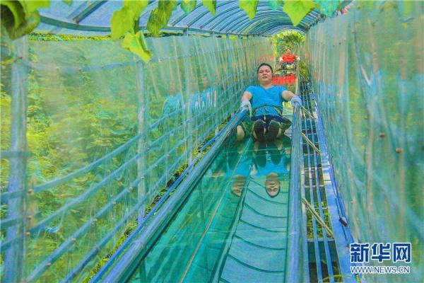 清明赏花绝佳地（人间四月清明天）(3)