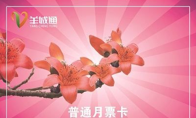 广佛通和羊城通优惠,手机nfc广佛通有打折吗图4