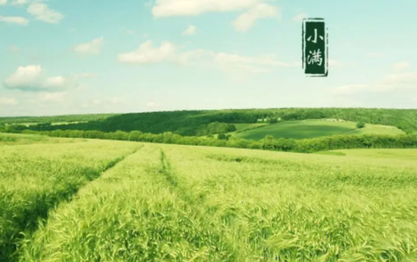 关于小满节气的诗谚,描写二十四节气夏至的古诗图2