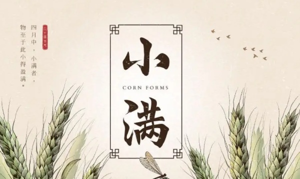 关于小满节气的诗谚,描写二十四节气夏至的古诗图3