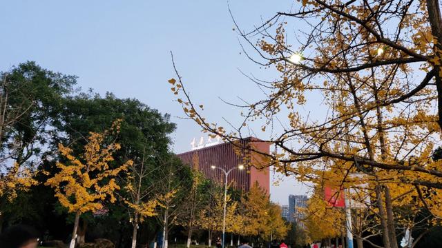 重庆大学虎溪校区全貌(重庆大学虎溪大学城校区)(9)