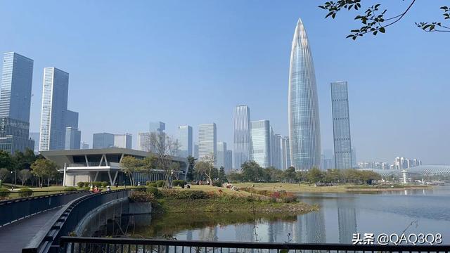 深圳湾公园最好玩的(深圳湾公园游玩吃喝玩乐)(1)