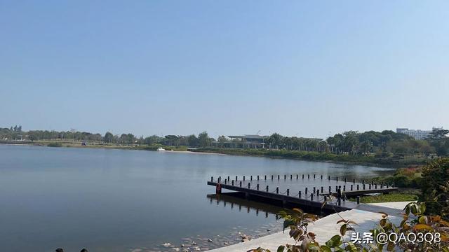 深圳湾公园最好玩的(深圳湾公园游玩吃喝玩乐)(2)