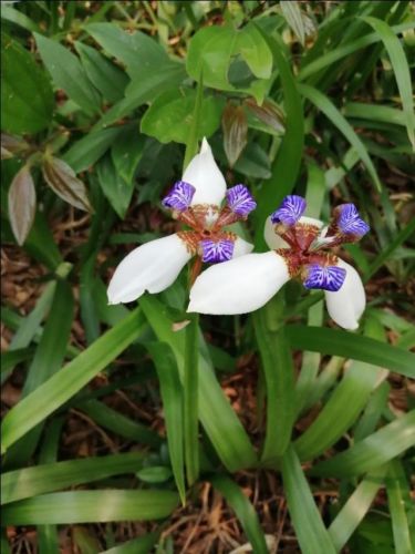 鏂颁腑鍥芥垚绔嬩竷鍗佷竴鍛ㄥ勾鐢荤敾  鏂颁腑鍥芥垚绔嬩竷鍗佷竴鍛ㄥ勾鏂囧瓧-绗?寮犲浘鐗?