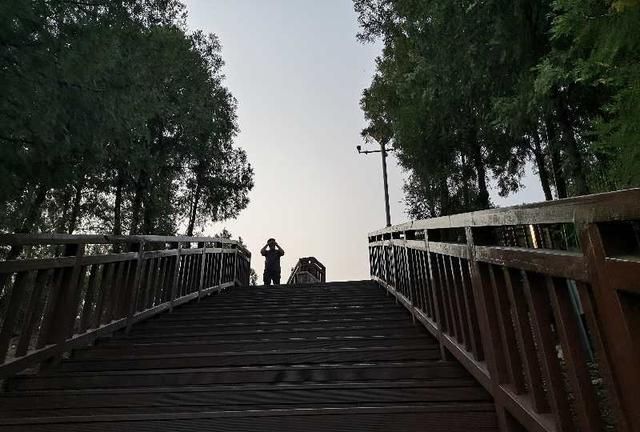 在家可做的生意，出门打工难，在家工作难，请问有在家门口可以做的好生意吗，求推荐？图7