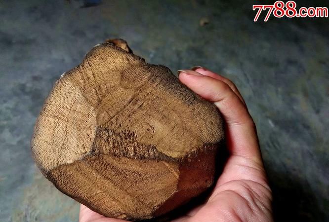 沉香白木是什么