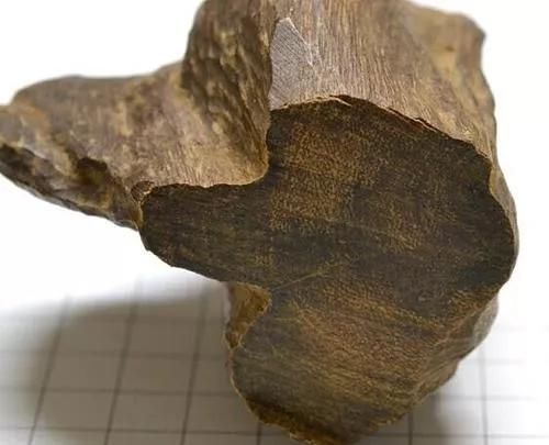 沉香木是什么，沉香白木是什么？图8